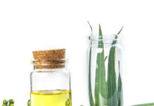 Eucalyptus oil benefits