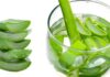 Aloe Vera Benefits for Hair, Skin and Weight-Loss Aloe Vera Benefits for Hair, Skin and Weight-Loss
