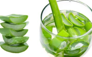 Aloe Vera Benefits for Hair, Skin and Weight-Loss