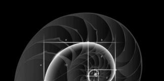 Fibonacci series