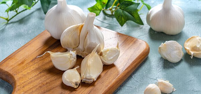 Garlic benefits