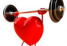 Cardiovascular Fitness