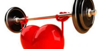 Cardiovascular Fitness