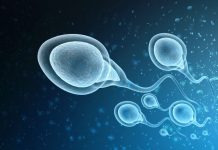 How to improve semen quality