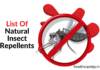 List Of Natural Insect Repellents Natural Insect Repellents