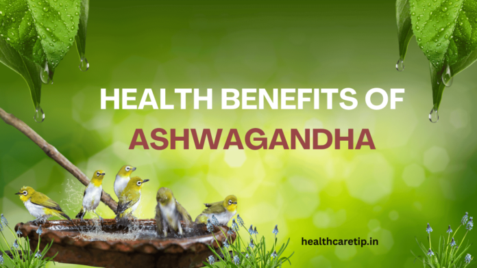 Ashwagandha plant with roots and berries on a wooden table